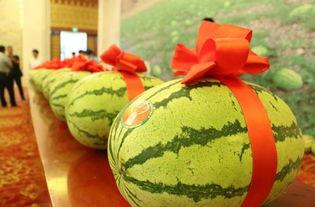 宁将军吃瓜,一场别开生面的军营生活