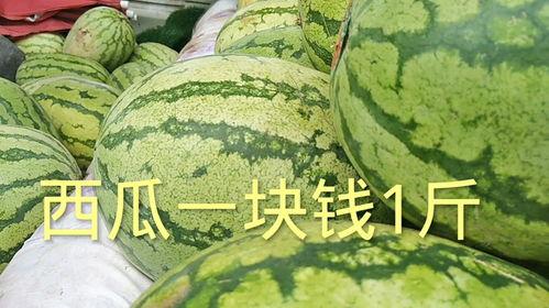 吃瓜收费多少钱一斤,吃瓜也要付费，一斤瓜竟要价如此之高！