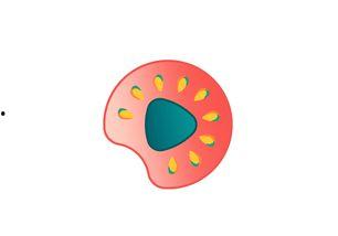 小明直播吃瓜,小明带你一窥吃瓜界的疯狂世界