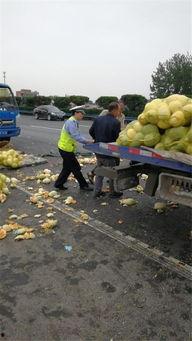 拉瓜车翻车淡定吃瓜,拉瓜人淡定吃瓜，揭秘意外中的冷静与幽默