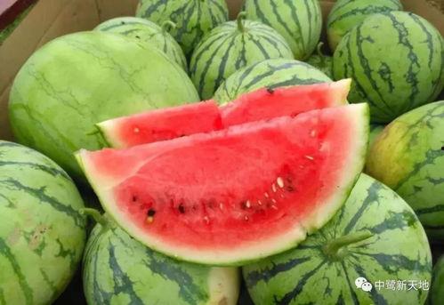 沈阳外事服务吃瓜,吃瓜群众视角下的幕后故事