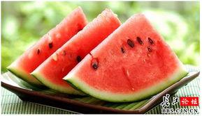 吃瓜群711218,一场网络热议背后的故事