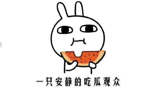 吃瓜热门事件大全视频